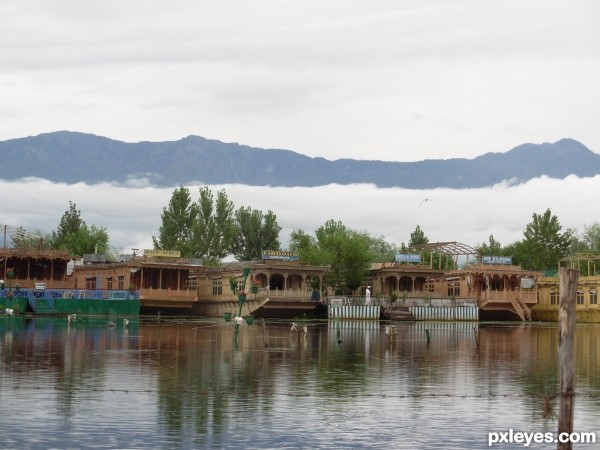 dull lake kashmir